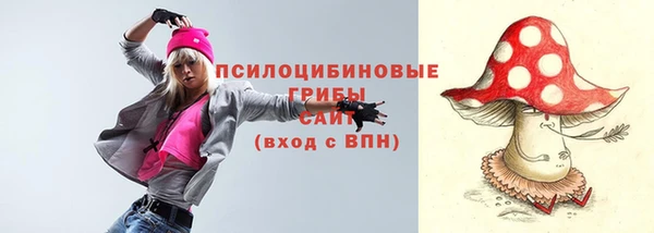 ПСИЛОЦИБИНОВЫЕ ГРИБЫ Михайловка