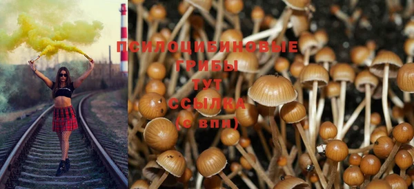 прущие крисы Наволоки