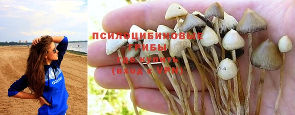 прущие крисы Наволоки